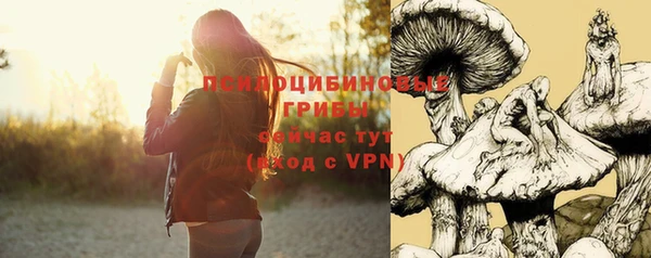 соль ск Абинск